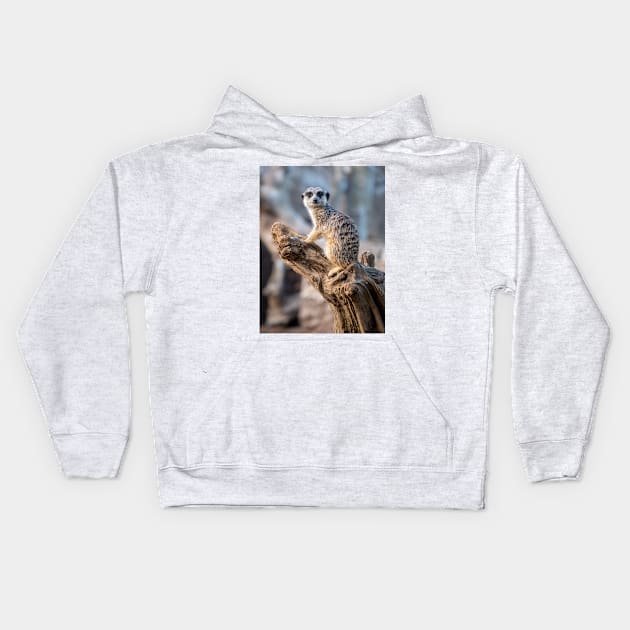 Meerkat - Lord of the Manor Kids Hoodie by AndrewGoodall